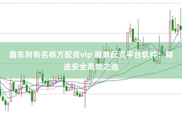 鑫东财有名杨方配资vip 股票配资平台软件：精选安全高效之选