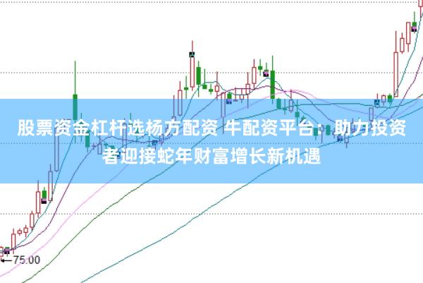 股票资金杠杆选杨方配资 牛配资平台：助力投资者迎接蛇年财富增长新机遇