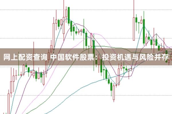 网上配资查询 中国软件股票：投资机遇与风险并存