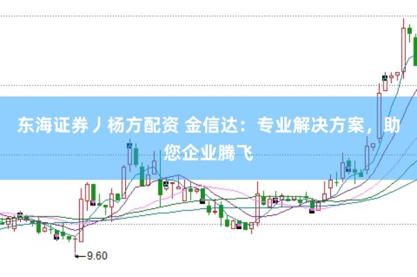 东海证券丿杨方配资 金信达：专业解决方案，助您企业腾飞