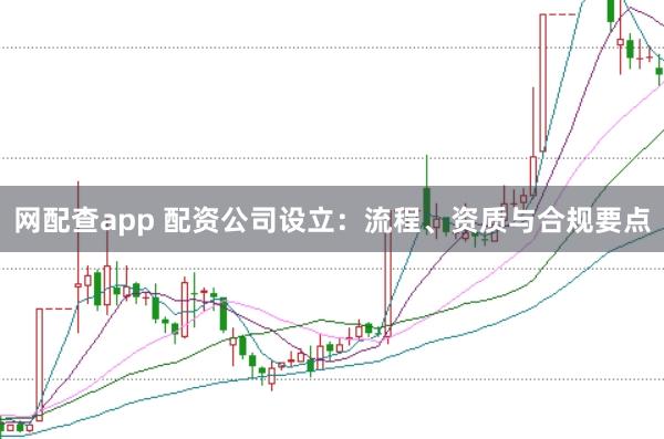 网配查app 配资公司设立：流程、资质与合规要点