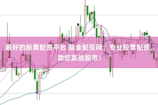 最好的股票配资平台 赢金配资网：专业股票配资，助您赢战股市！