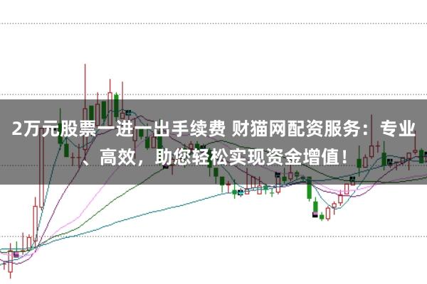 2万元股票一进一出手续费 财猫网配资服务：专业、高效，助您轻松实现资金增值！