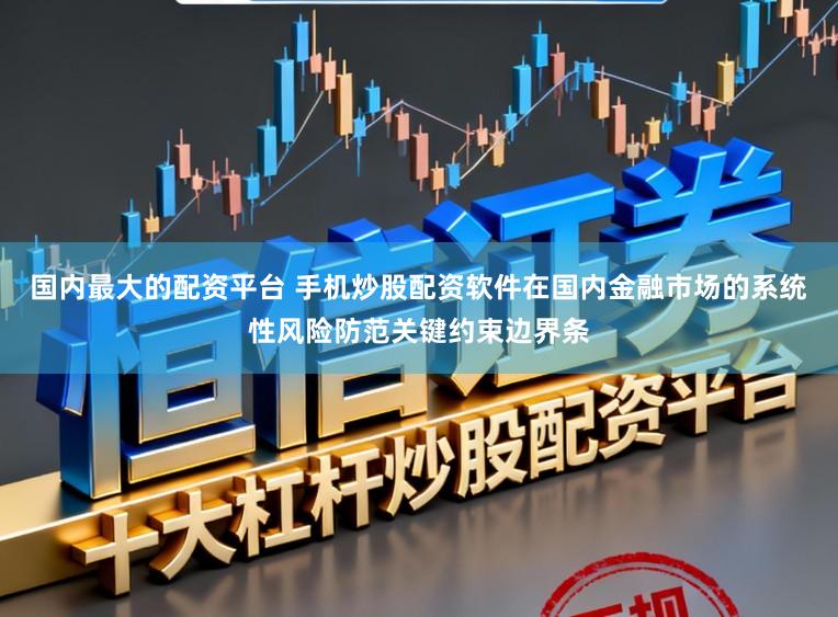 国内最大的配资平台 手机炒股配资软件在国内金融市场的系统性风险防范关键约束边界条
