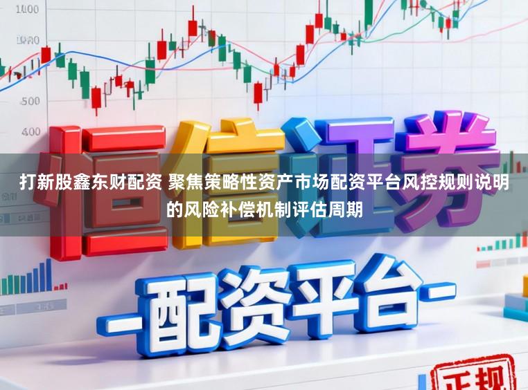 打新股鑫东财配资 聚焦策略性资产市场配资平台风控规则说明的风险补偿机制评估周期