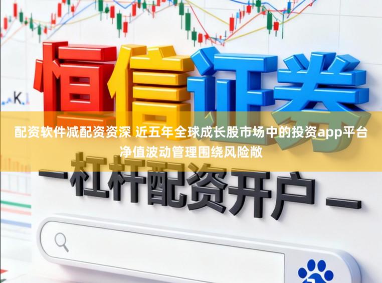 配资软件减配资资深 近五年全球成长股市场中的投资app平台净值波动管理围绕风险敞